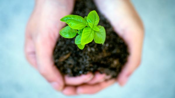 Stop Robbing Your Team of Growth