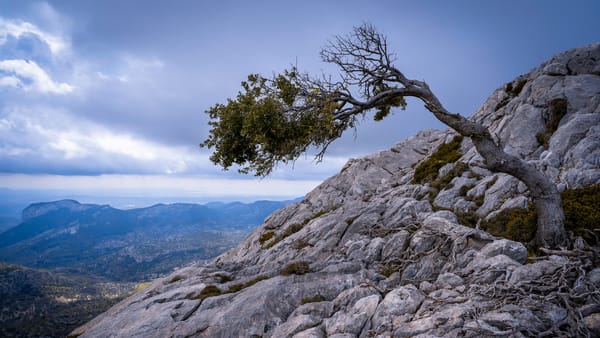 Resilience Is a Competitive Advantage