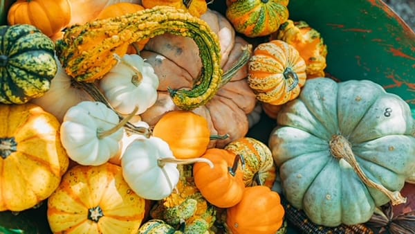 October Reset: The Hidden Power of Sleep